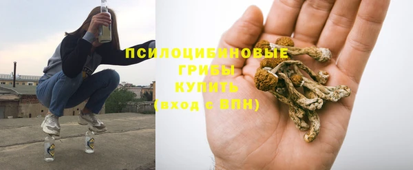 spice Алексеевка