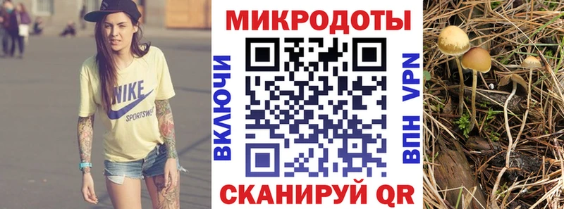 Псилоцибиновые грибы Psilocybine cubensis  omg tor  Кимры 